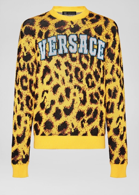 Pulovere Versace Versace Pop Animalier Jacquard Barbati | PVUNQEA-83